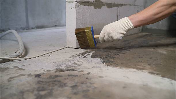 SJ Waterproofing Pros Waterproofing coverage map for Bethpage, TN and surrounding area
